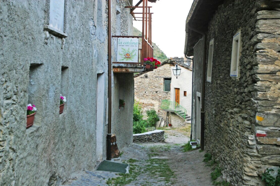 la-carlina